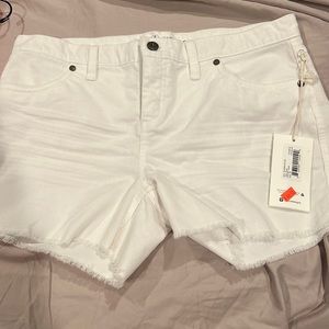 Carve Designs Oahu Shorts NWT size 8